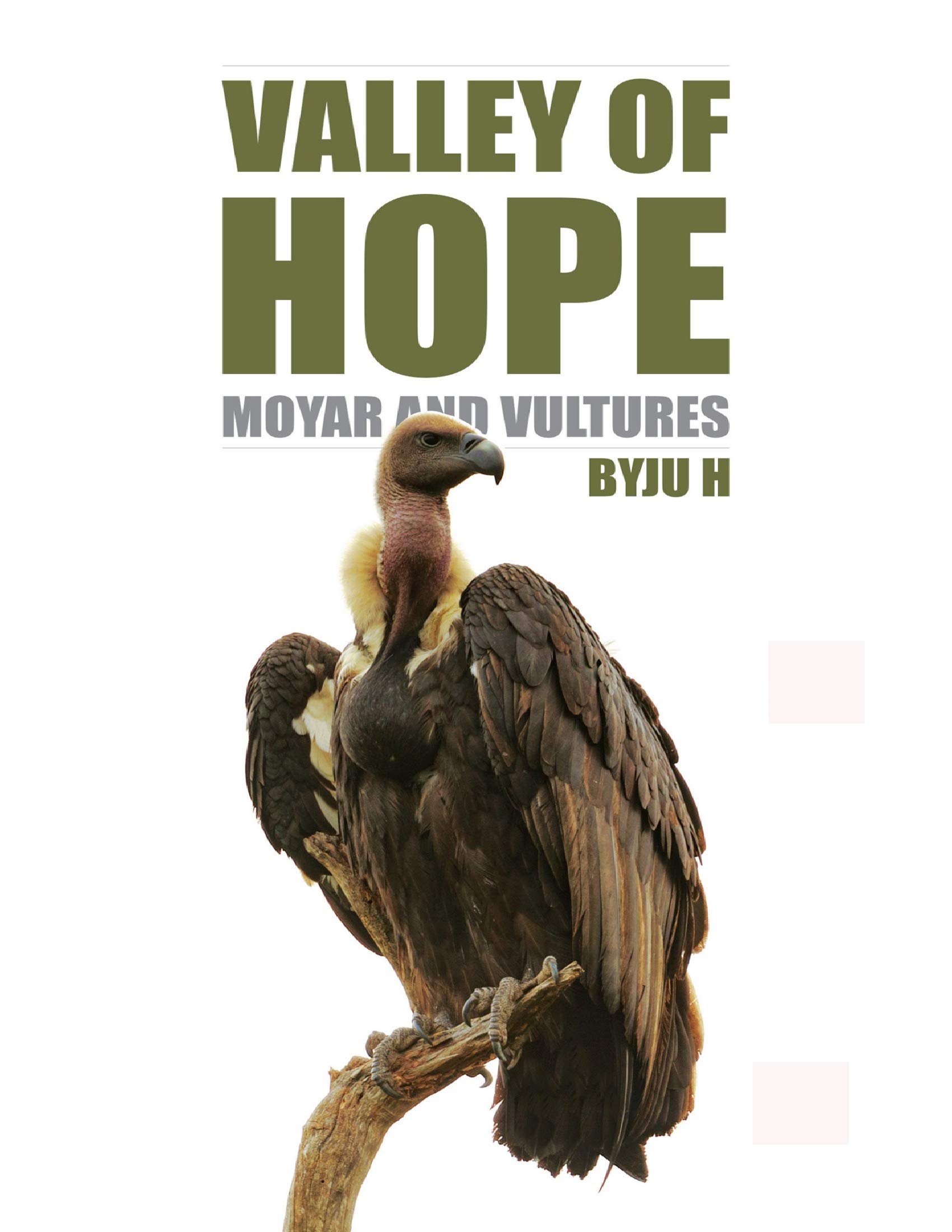 Valley of Hope: Moyar and Vultures, book cover