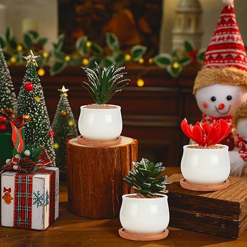 Miniatura 7 de Macetas para suculentas, maceta blanca de cerámica de 2.5 pulgadas con bandeja de bambú, paquete de 12 unidades, plantas no incluidas