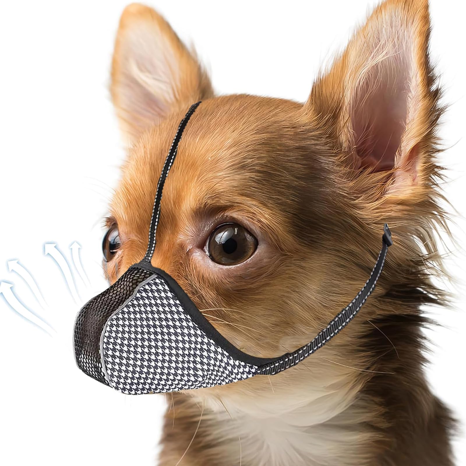 Masque respirant pour dressage et toilettage des petits chiens en ville