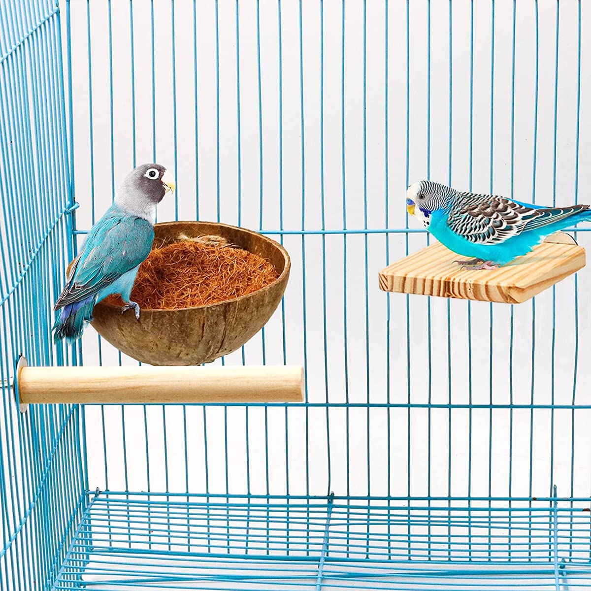Maison D'Oiseau Noix De Coco Naturelle - Nid Confortable Pour Perruches, Pinsons Et Oiseaux D'Amour