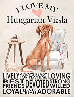 Hungarian Vizsla Metal Sign Dog Plaque Home Decor Bar Shed Garage Man Cave Poster Gift size 8x6in Ref 7774
