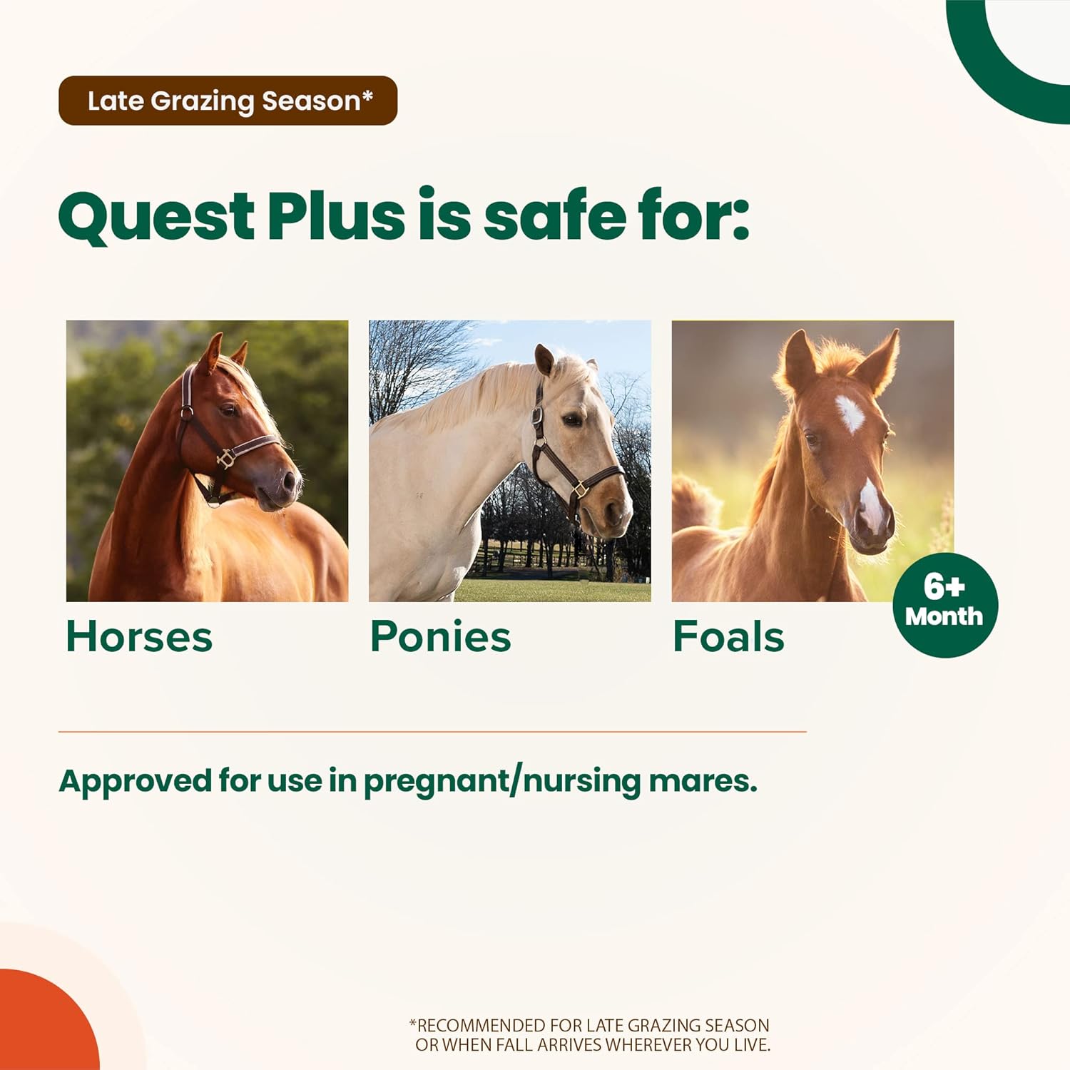 Quest Plus Gel Moxidectin/ Praziquantel Horse Dewormer, Late Grazing Season recommended for Horses and Ponies 6 months and older, 0.5oz Sure-Dial Syringe : Pet Supplies