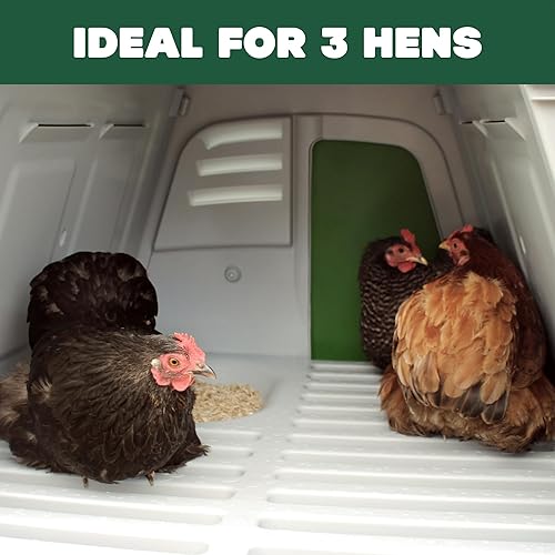 Miniatura 2 de Omlet Gallinero portátil Go Up  Tractor de plástico fácil de limpiar y mantener  Fresco en verano, cálido en invierno resistente a la intemperie