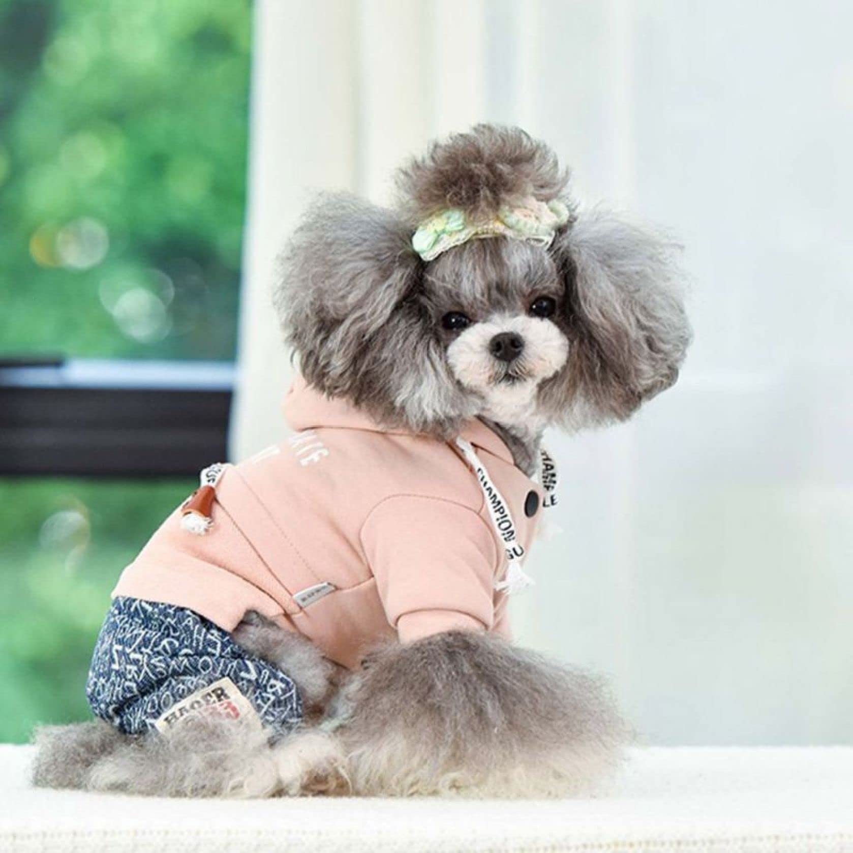 Amazon.com : Winter Warm Dog Jumpsuit Outdoor Windproof Hoodies for Small  Medium Dogs Pet Button Coat Comfortable Clothing : Pet Supplies