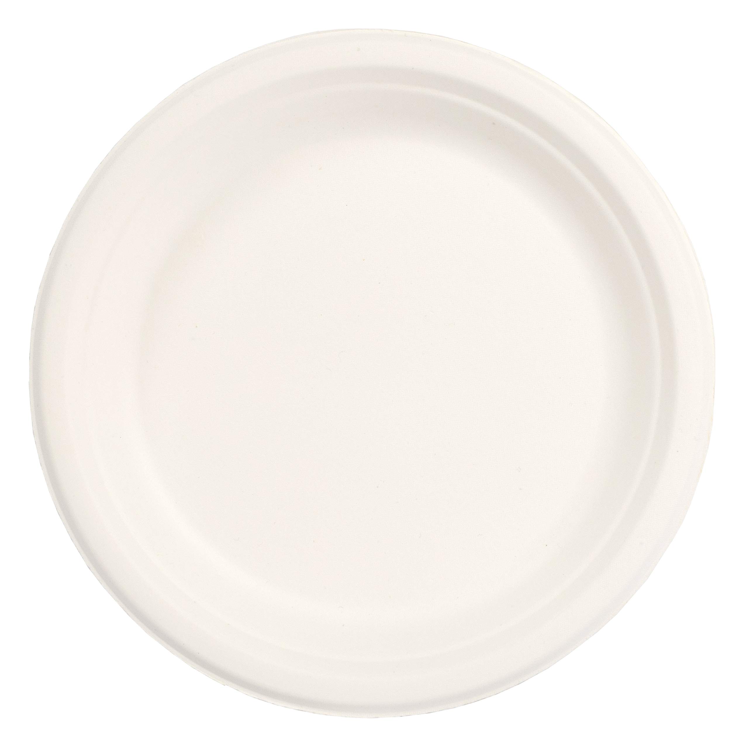 Stalkmarket 100% Compostable Natural Plant Fiber Plate, 9-Inch, 500-Count Case