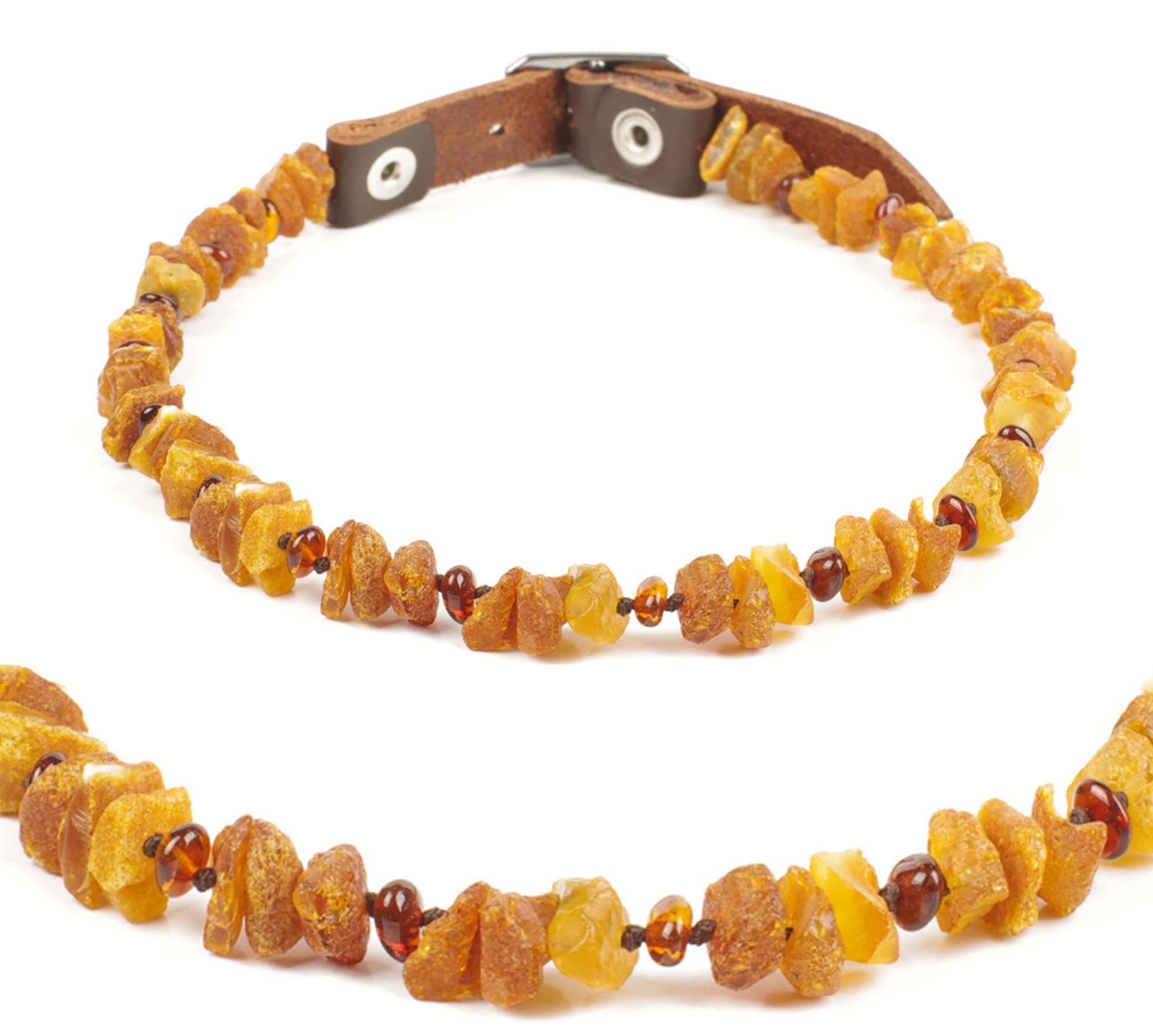 iLikeAmber. com Baltic Secret Collier pour chien & chat de Baltic Secret/en 100% ambre véritable Ambre Ambre/ la pProtection naturelle contre les tiques /chien tique Protection/chien – Collier/ la vermine Collier Chat et Chien/ Toutes les tailles
