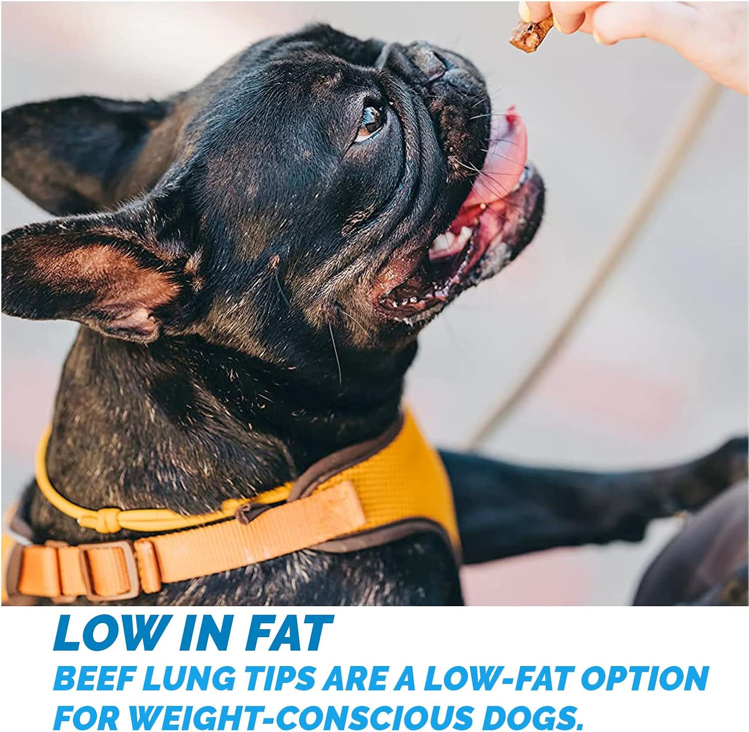 123 Treats Beef Lung Chew Treats - (8 oz Bag) Natural Long-Lasting Jerky Chews for Dogs, Low in Fat & High Protein Training Treats Provides Satisfactory Chewing & Dental Health | Made in USA