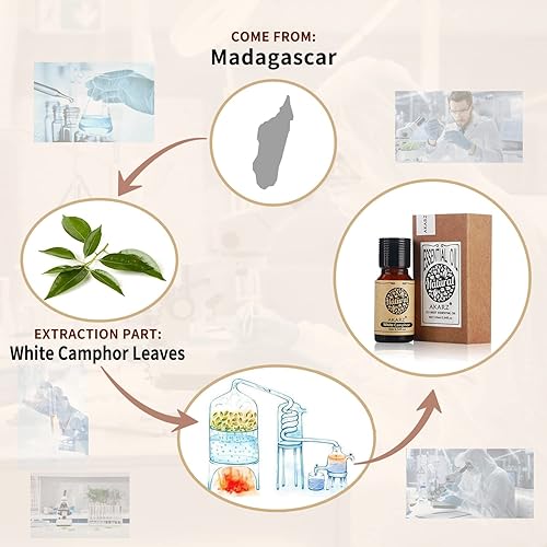 Miniatura 19 de AKARZ Aceite esencial de vainilla natural orgánico puro aceite de vainilla terapéutico prémium para el cuidado del cabello de la piel, cuerpo