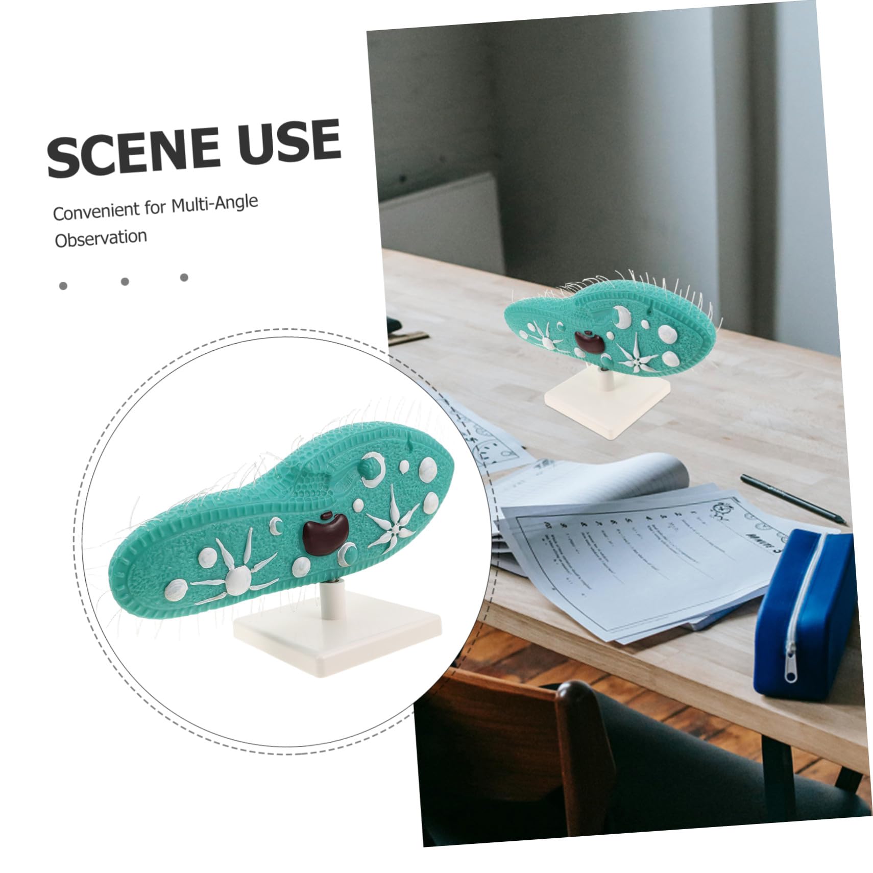 iplusmile Paramecio per Esperimenti di Biologia di Microscopio Didattico con Supporto per Laboratorio Campione per Aula di Scienze Educativo