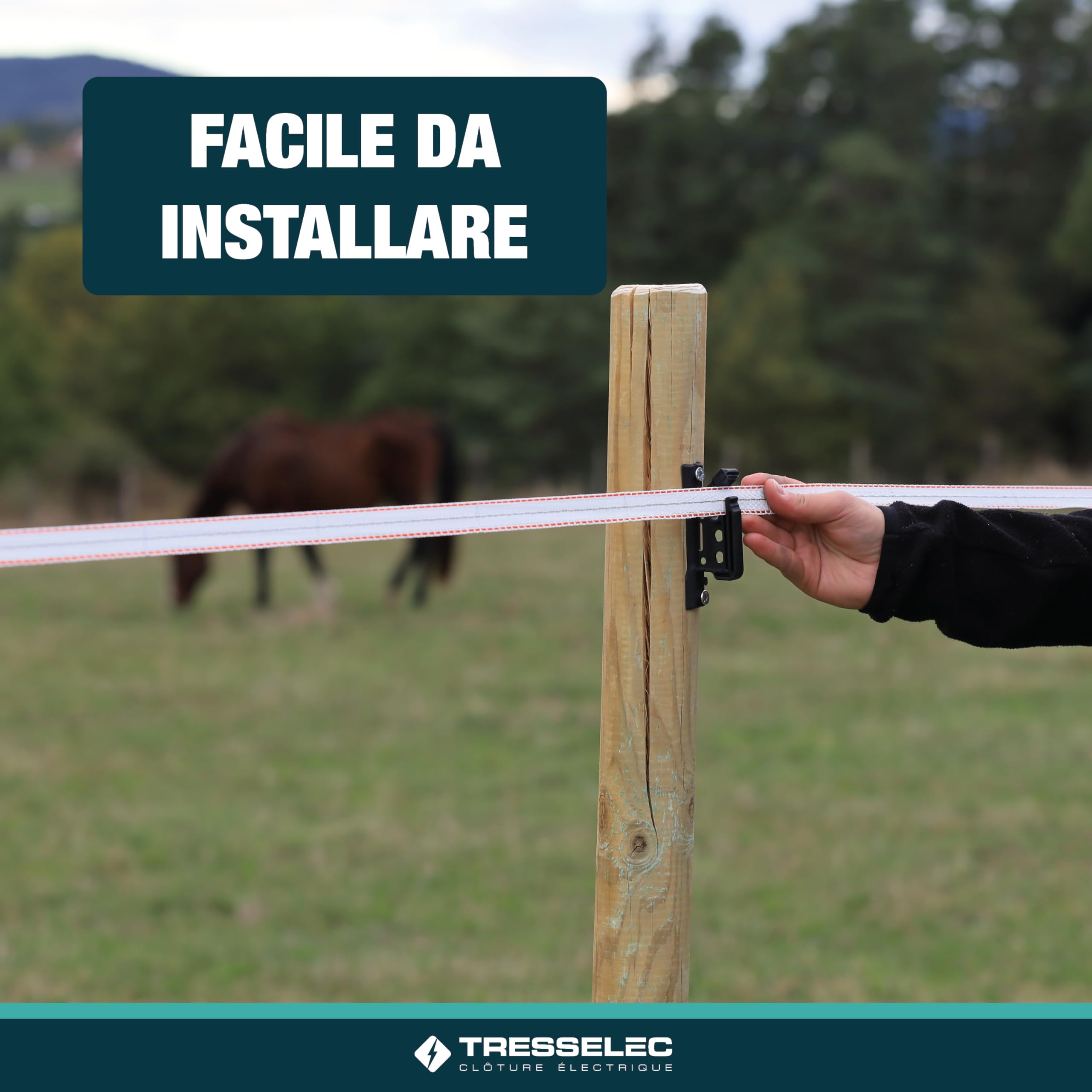 Nastro ZZ 12,5 mm - Recinzione elettrica per animali (mucca, capra, pecora, cavallo) - Bobina da 400 m - 4 fili in acciaio inox diametro 0,20 mm e 1 filo di rame diametro 0,30 mm