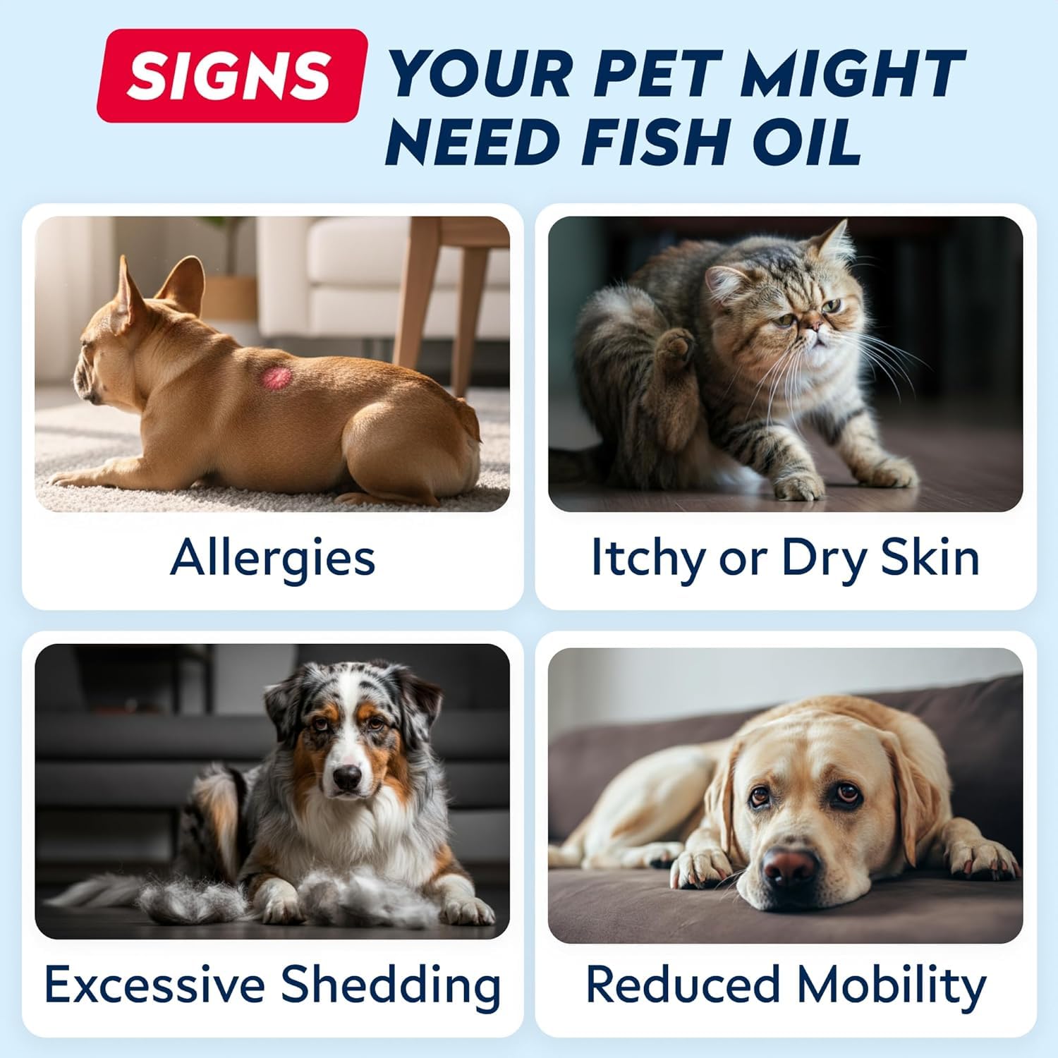 StrellaLab Wild Alaskan Salmon Oil for Dogs & Cats - w/Omega 3 Fatty Acids — Amazon image 5