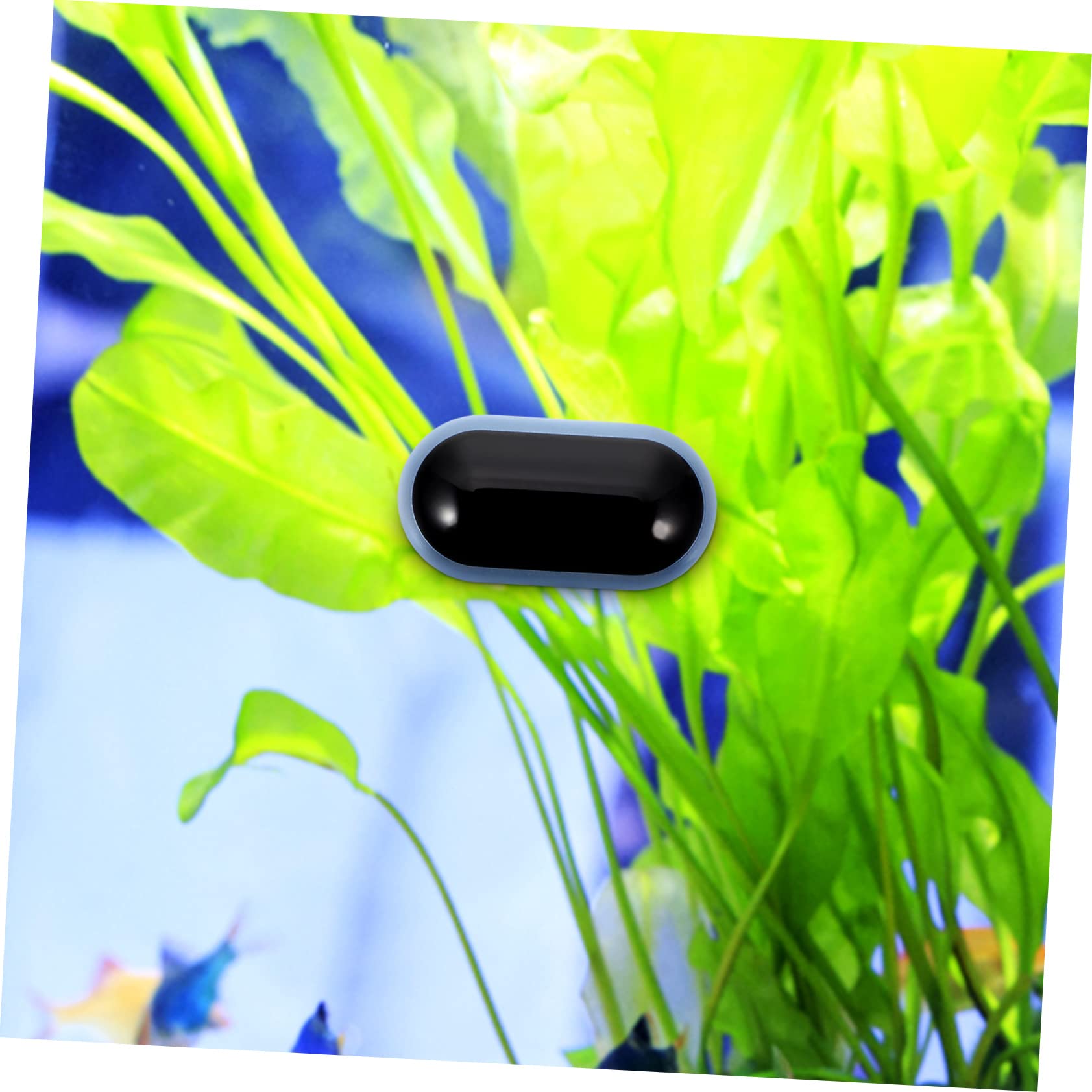 BESPORTBLE 3pièces Thermomètre Numérique Pour Aquarium Outil De Mesure De Température De Eau Design Adhésif Miniature Précision Et Durabilité Parfait Pour Suivi Température Des