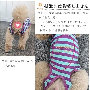 服*犬様 embryo chinese bland power net 楽天市場】アサガオ柄甚平 XS/S/M/L/XL/XXL CRAZYBOO