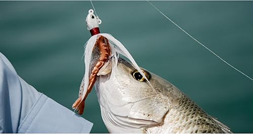 Miniatura 4 de Berkley Gulp! Shrimp Saltwater Fishing Soft Bait Camarones Naturales,Púrpura cajún/Chartreuse,Chartreuse,New Penny,New Penny Fleck,New