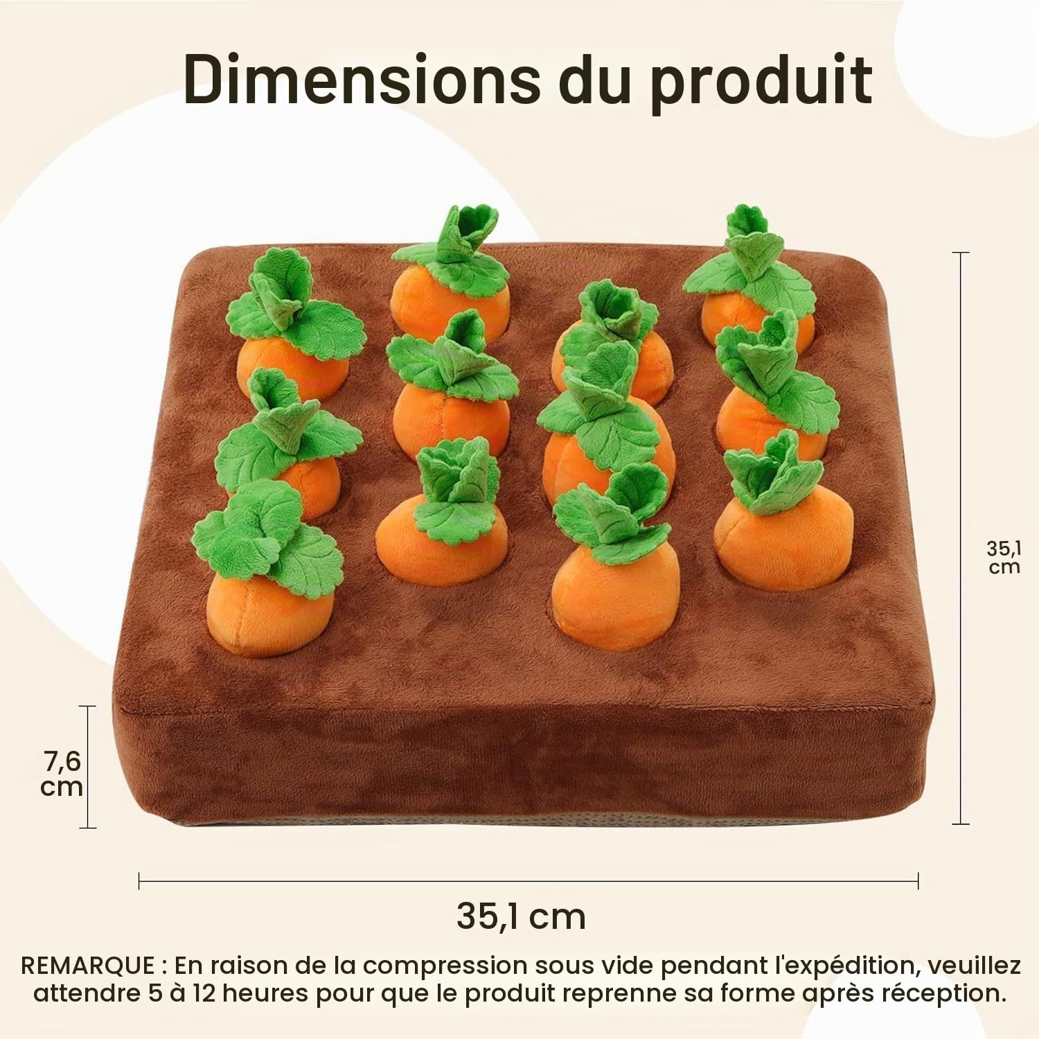 Tapis à renifler interactif pour Furet - Jouet d'enrichissement de friandises pour Petits Animaux, Lapin, Chinchilla, Cochon d'Inde, Hamster (12 Carotte)