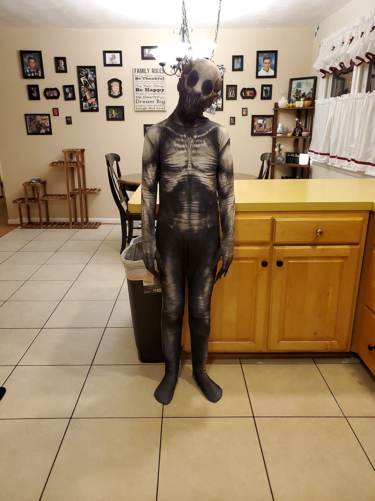 $8/mo - Finance Morphsuits The Rake Costume for Kids, Boys Rake Costume ...