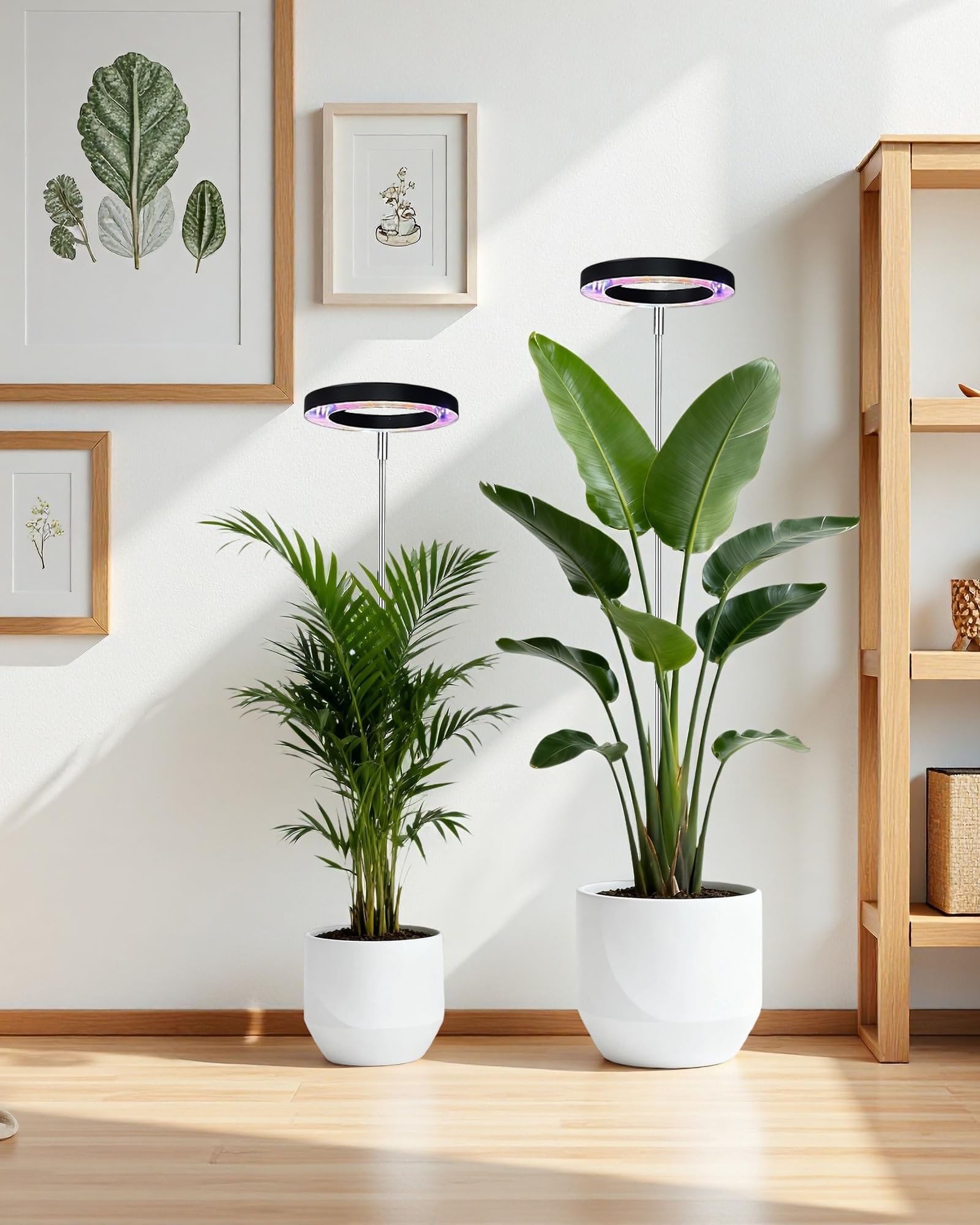 Luz de cultivo de plantas, luz LED de crecimiento de espectro completo para plantas de interior, altura ajustable, temporizador automático, voltaje bajo de 5 V, idea para luz de planta grande