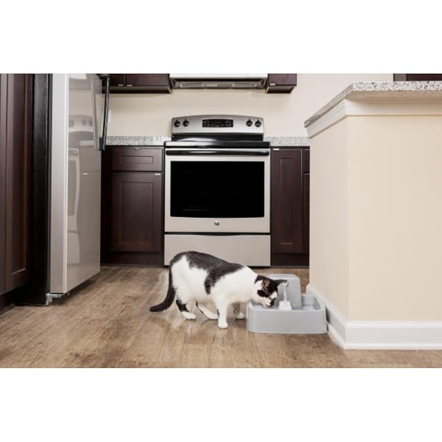 Foto 3 de 7 de PetSafe Drinkwell Fuente de Agua Corriente, 3,8L