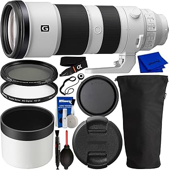 Amazon.com : FE 200-600mm f/5.6-6.3 G OSS Lens Compatible with