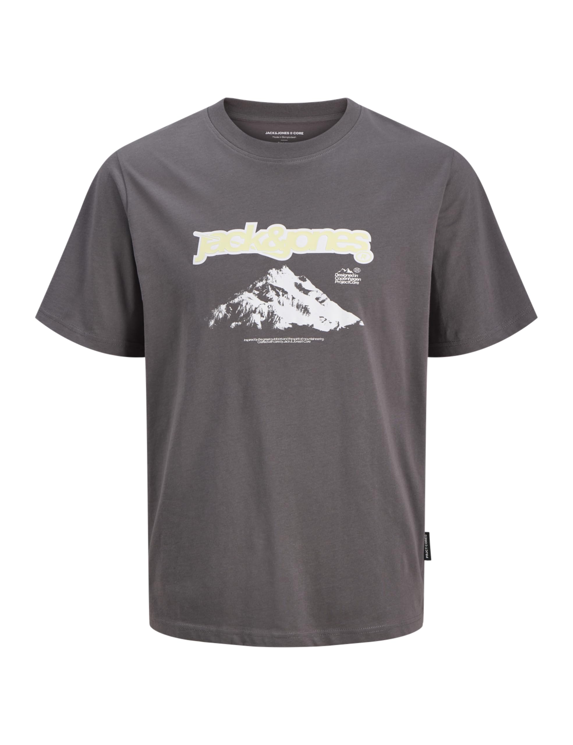 JACK & JONES Jcoflare Brainding Tee Ss Crew Neck
