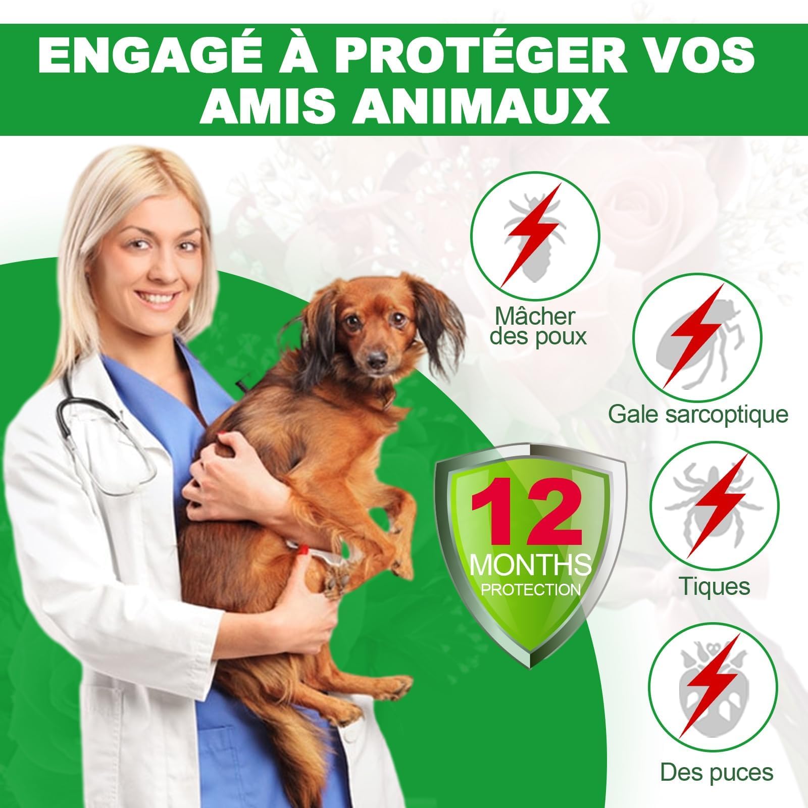 Collier Anti Puces pour Chien, 12 Mois De Protection Efficace, Collier Anti Tique Chien 65cm, Réglable Et Étanche, Convient Aux Chiens De Toutes Tailles