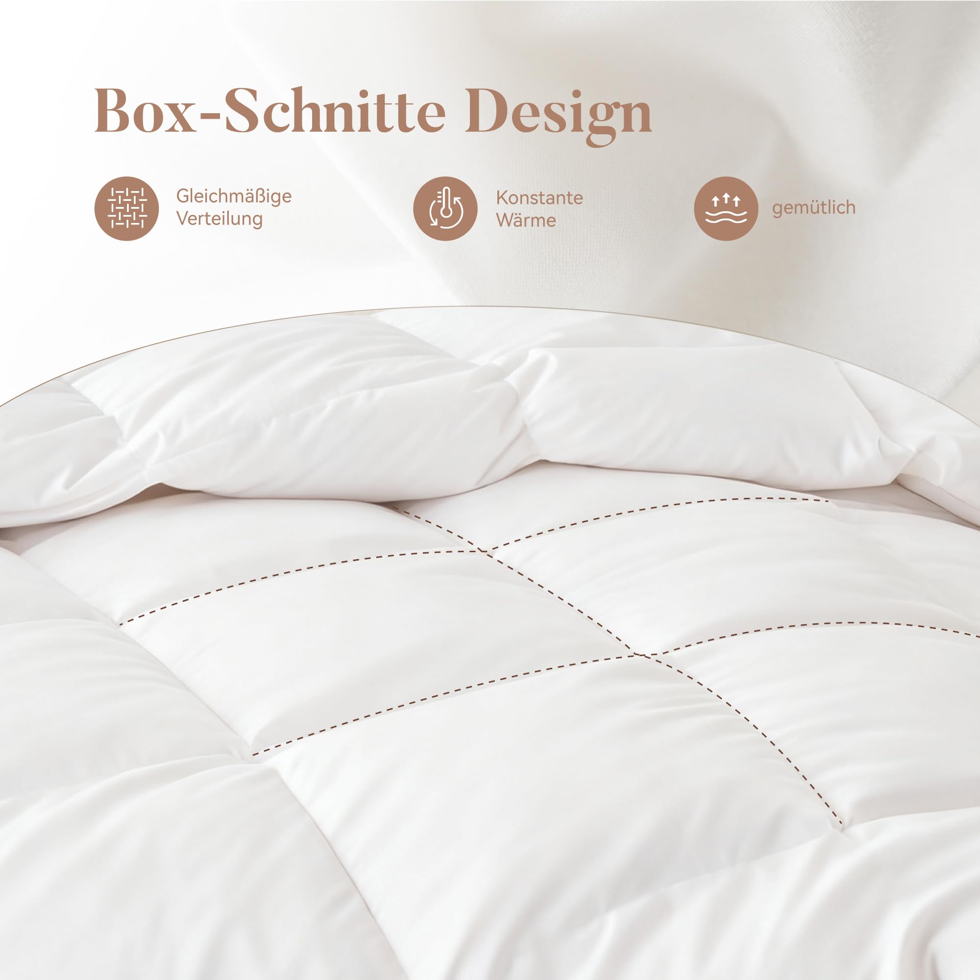 Sophia & William Bettdecke, 4 Jahreszeiten Bettdecken 200x200 cm für Allergiker, Oeko-TEX Zertifizierte Steppdecke, Ganzjahres Federbett Daunendecke mit 80% Federn & 20% Daunen