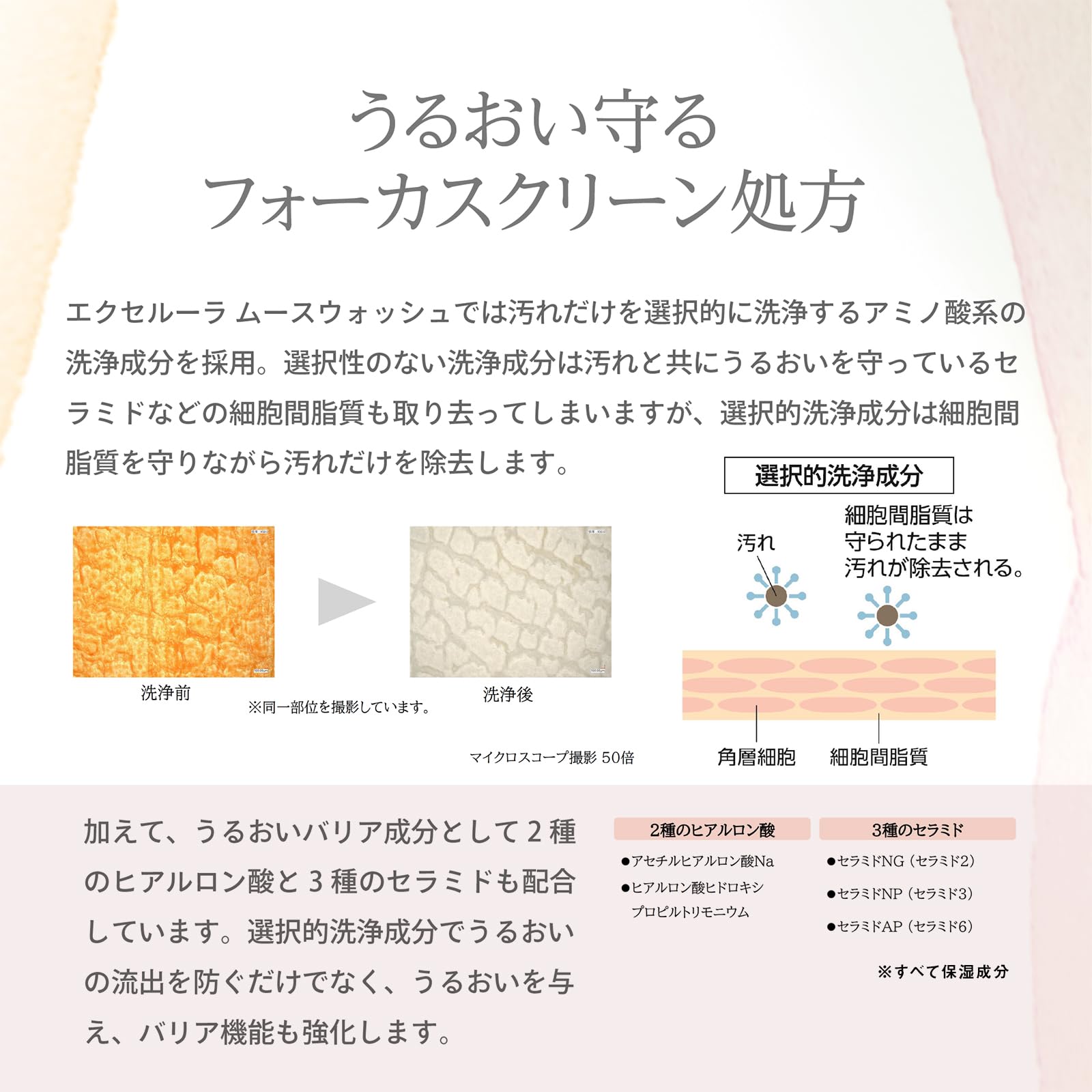Amazon.co.jp: エクセルーラ: 商品一覧