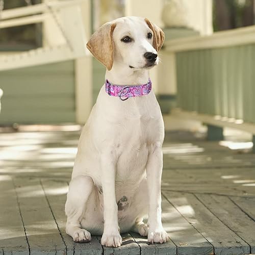 Miniatura 7 de Pimaodog Collar de perro de nailon resistente, collar de perro Martingale ajustable para entrenamiento de caminar, perros niños y niñas, perros