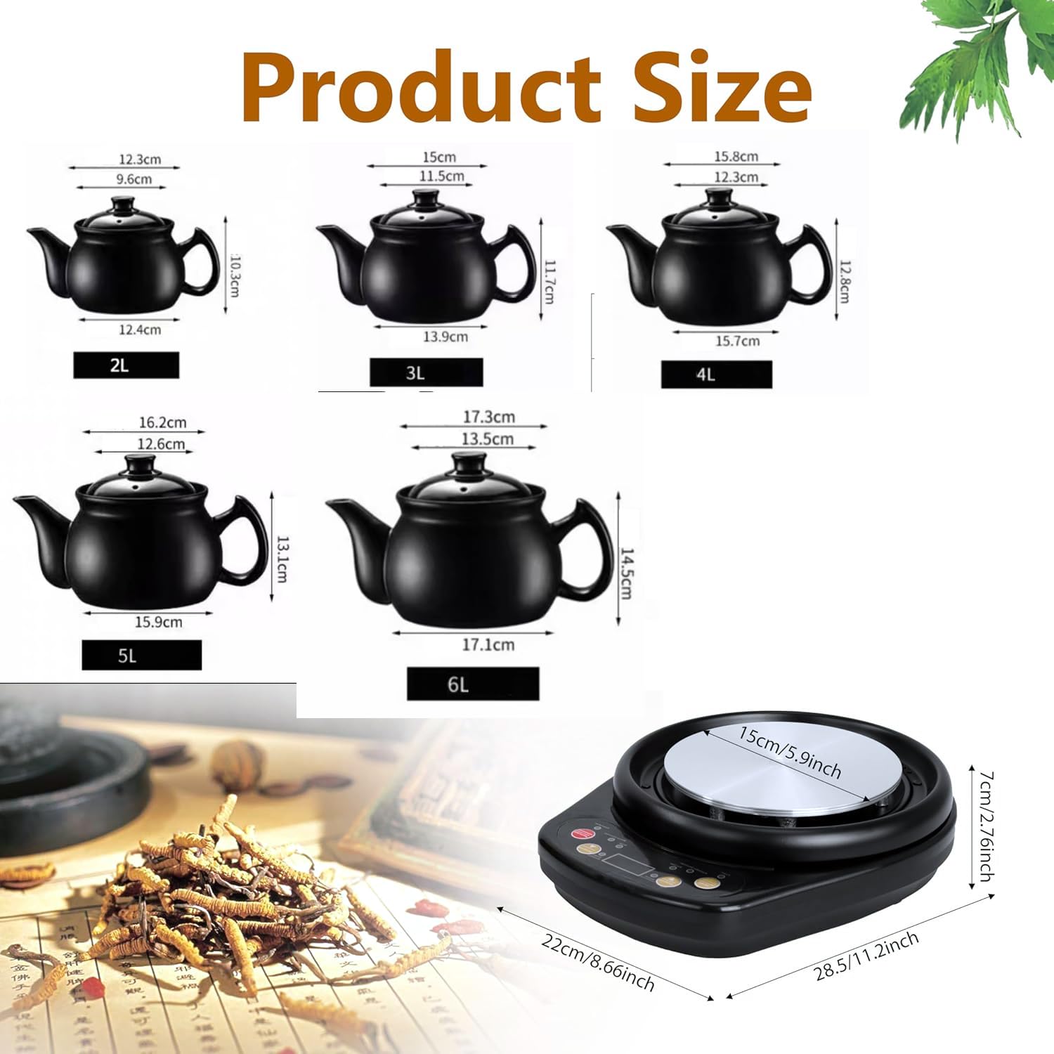 Olla eléctrica para hierbas medicinales, 2-6 L, multifuncional para hierbas medicinales, té, sopa, guiso y gachas