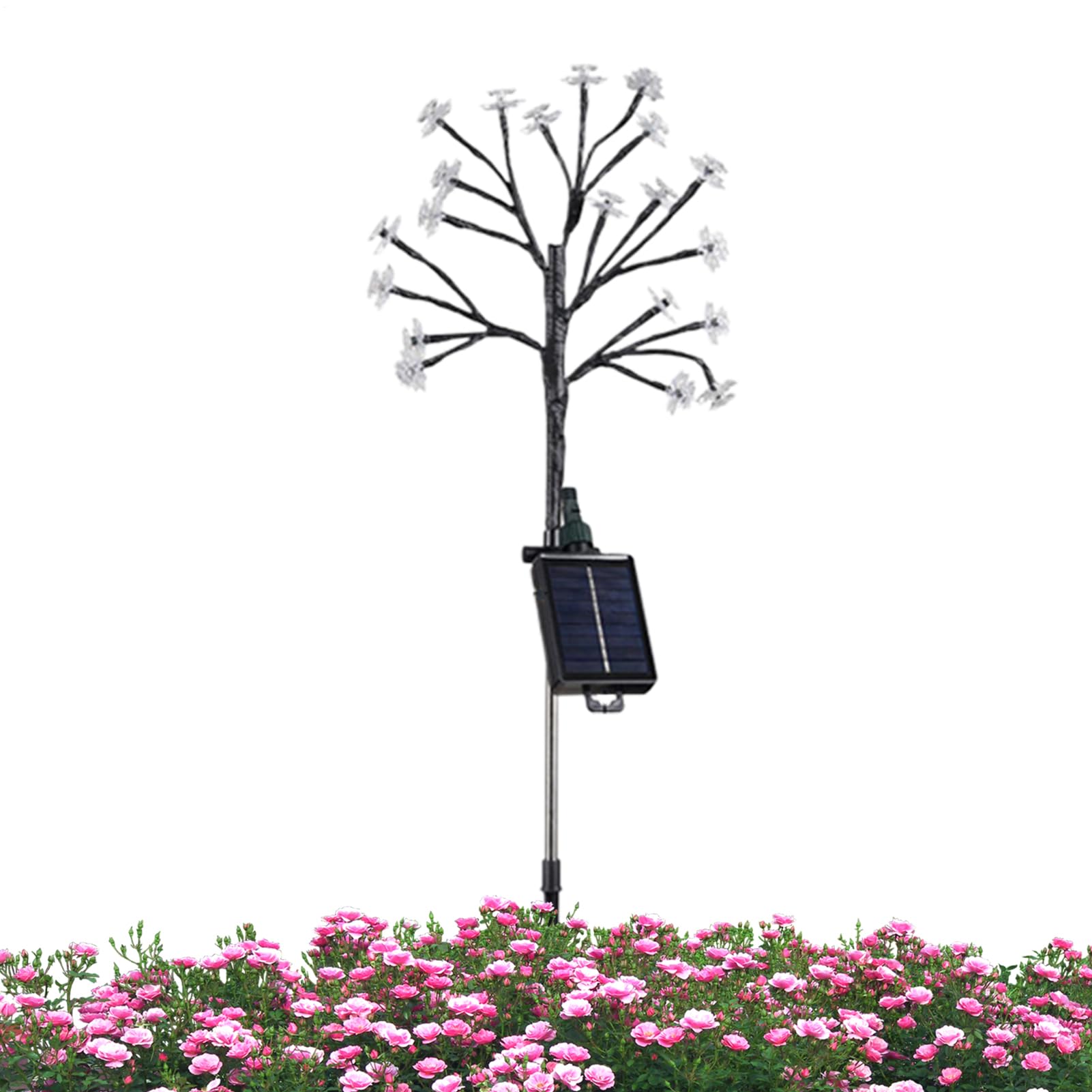 Luces solares de flores con panel de alta eficiencia para iluminación de céspe 8