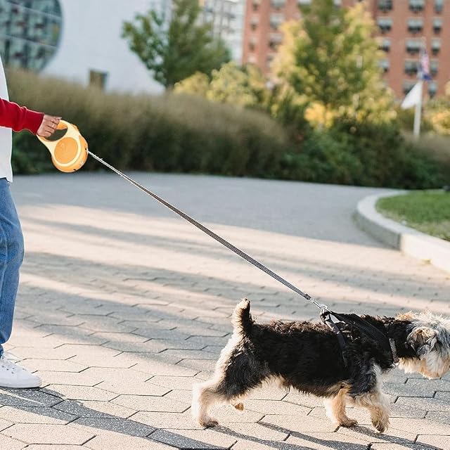 Foto 8 de 8 de Correa retráctil para perros con luz, 3 m/5 m, correa extensible para perros pequeños, medianos y grandes