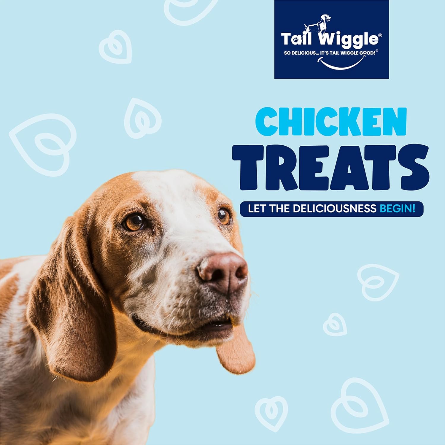 Chicken Dog Treats – Single-Ingredient USDA Chicken Breast – All Natural, Grain-Free, No Fillers – Gently Dried, High Protein Dog Snacks – Made in USA – 4 oz Bag