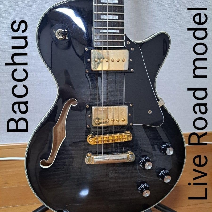 Bacchus Live Road セミアコ ケース付き 黒 エレキギター Bacchus Live Road モデル セミアコ ギターケース付き 黒 青 金