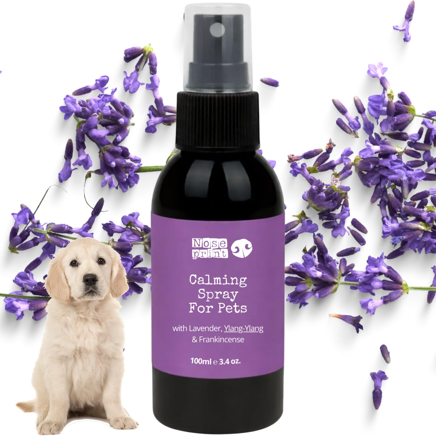 Spray apaisant naturel pour chiens et chats, lavande ylang-ylang, encens, spray d'intérieur sans danger pour les animaux de compagnie, 100 ml