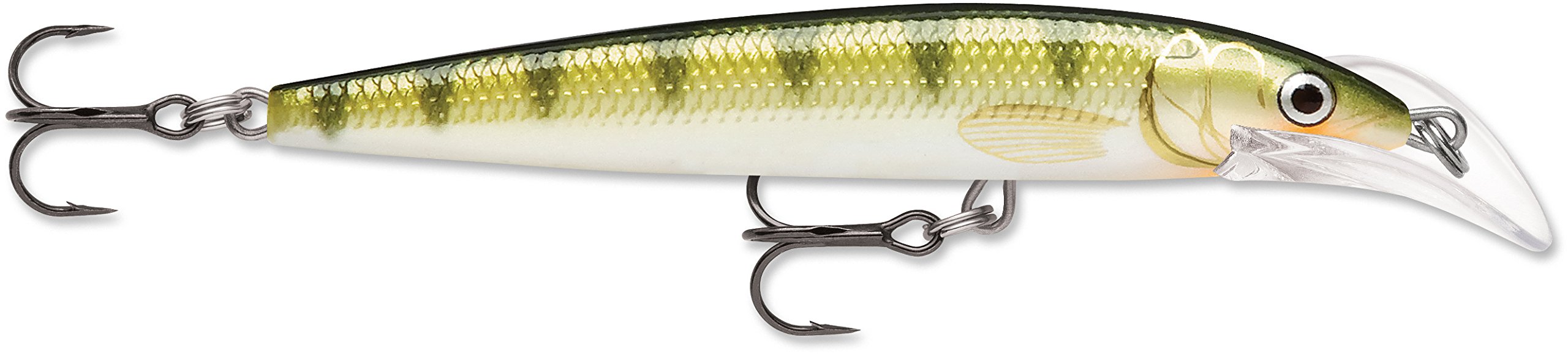 Scatter Rap Deep Husky Jerk