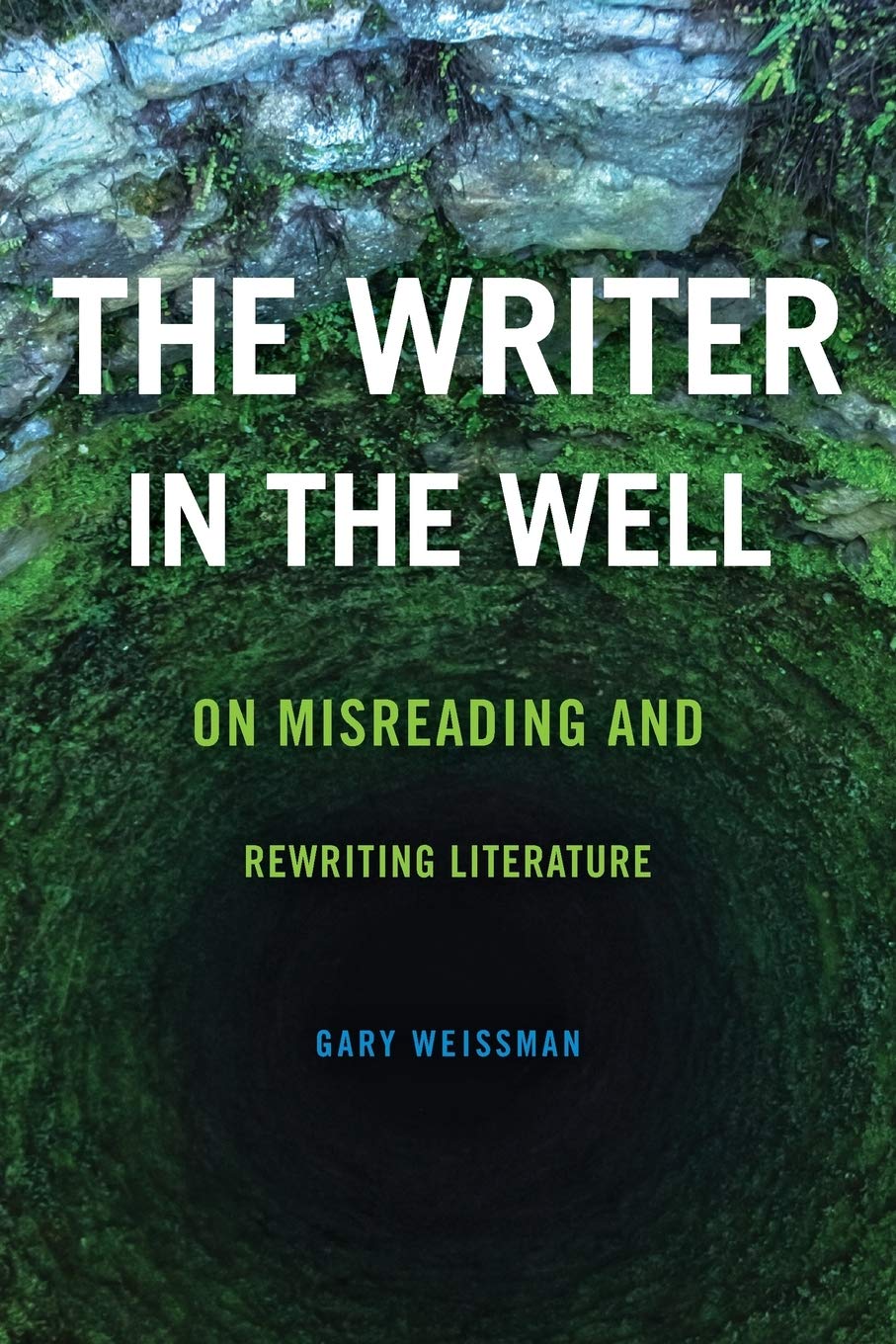 The Writer in the Well: On Misreading and Rewriting Literature (THEORY INTERPRETATION NARRATIV)