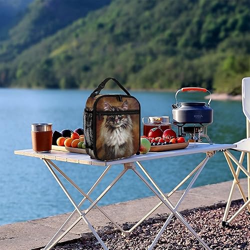Miniatura 6 de LynaRei Lonchera térmica térmica reutilizable marrón Maine Coon Cat para hombres y mujeres oficina