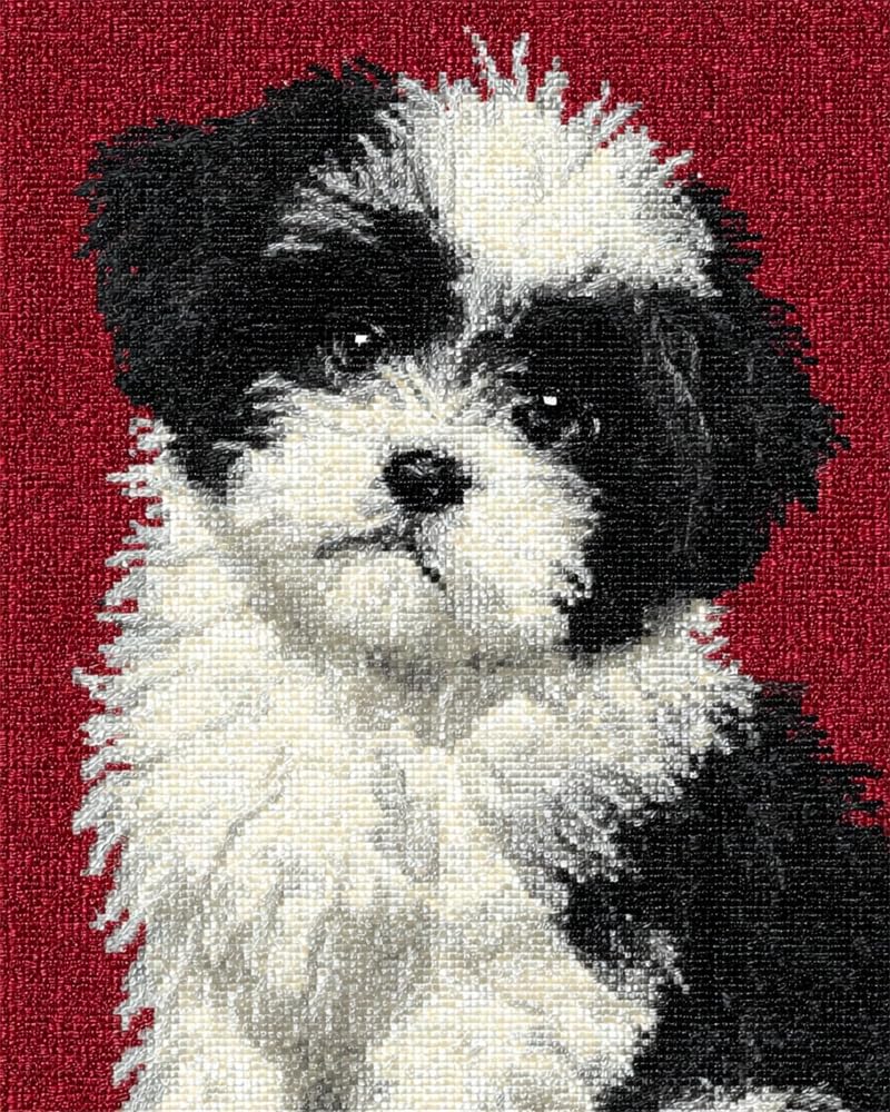 FWRTYCB Latch Hook Kits Rugs,Black White Dog Shih Tzu Puppy
