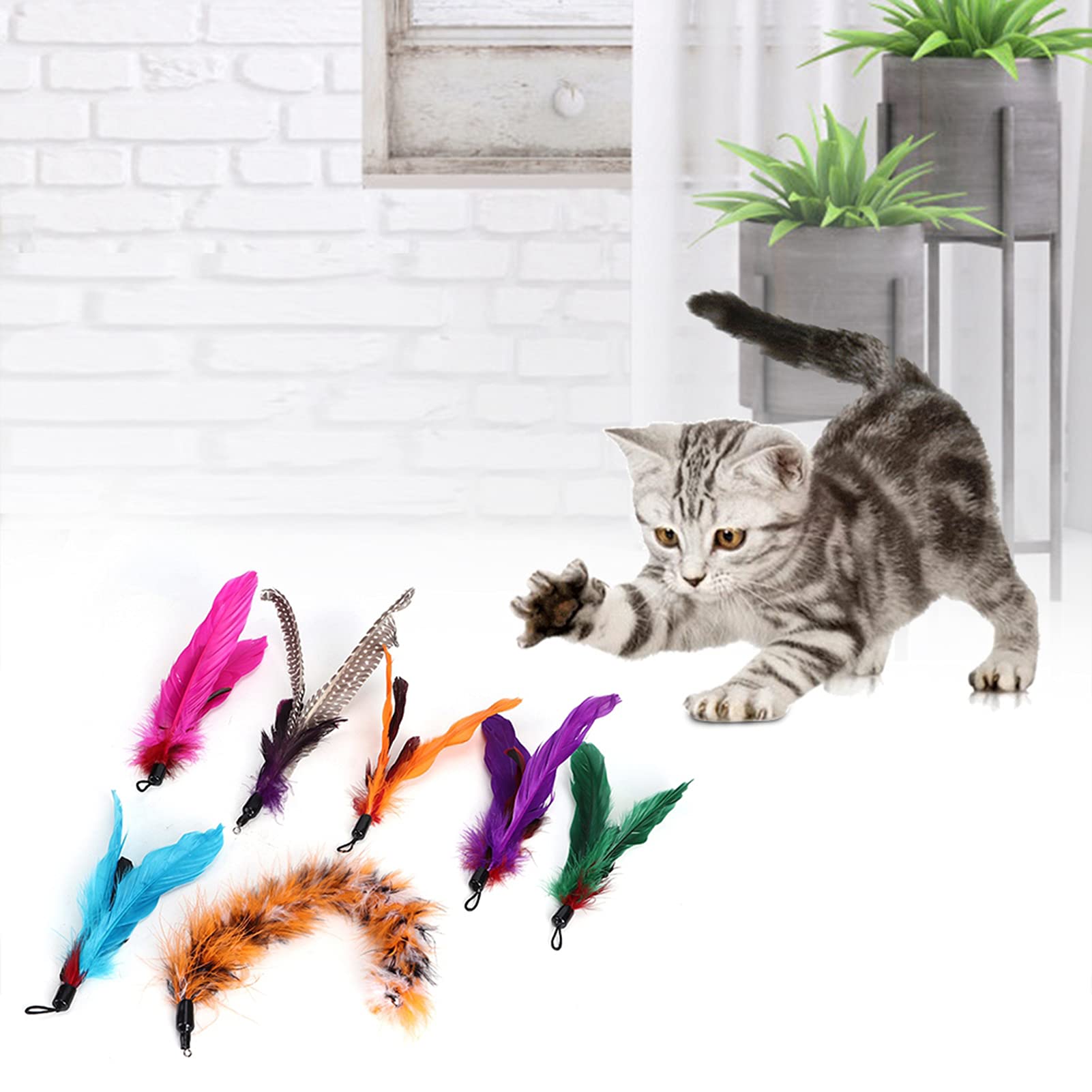 7 PCS Pet Cat Teaser Dangler Toy Rod S Fiather Cats Dostarcza Kot Toycat Feather Toycat Interactive To, Takie Jak Szybkie Puszki de