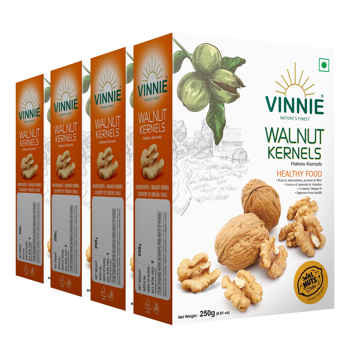 Vinnie Walnut Without Shell - 250g(Pack Of 4) | Premium Chilean Akhrot Giri | Fresh & Crunchy Walnuts Kernel Halves | Natural Raw Whole Dry Fruits Nuts | High In Protein & Anti-Oxidants | Brain Food