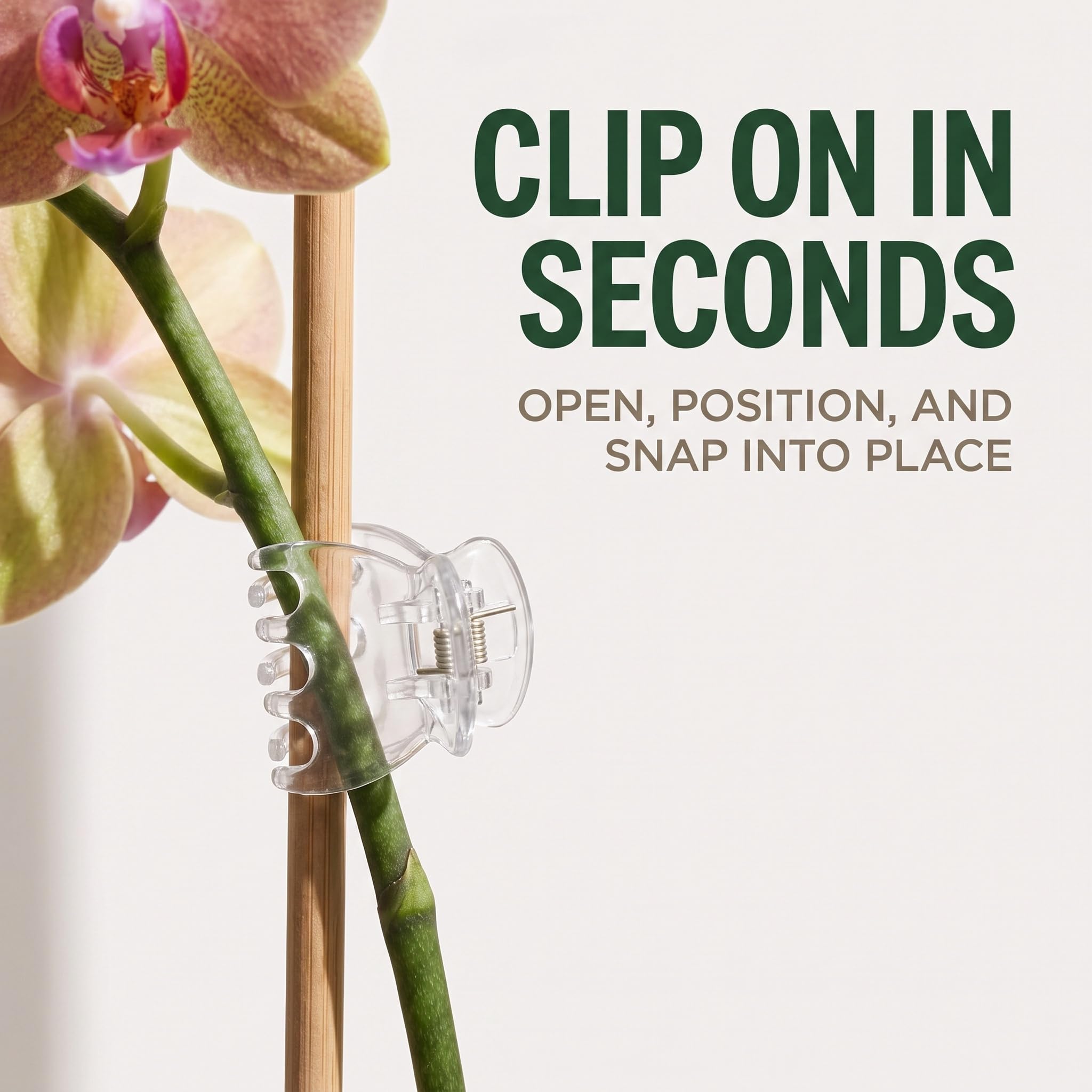 50 clip trasparenti per piante e orchidee, supporto per fiori per piante rampicanti per piante rampicanti per sostenere steli, orchidee, viti, steli, piante rampicanti, crescono in posizione verticale