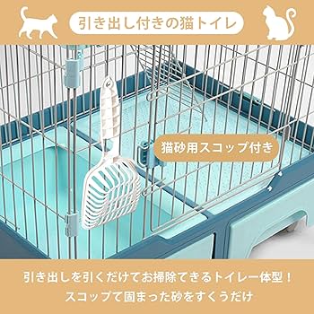 量子の謎かけ屋 日本語 2枚セット MTG, マジック:ザ