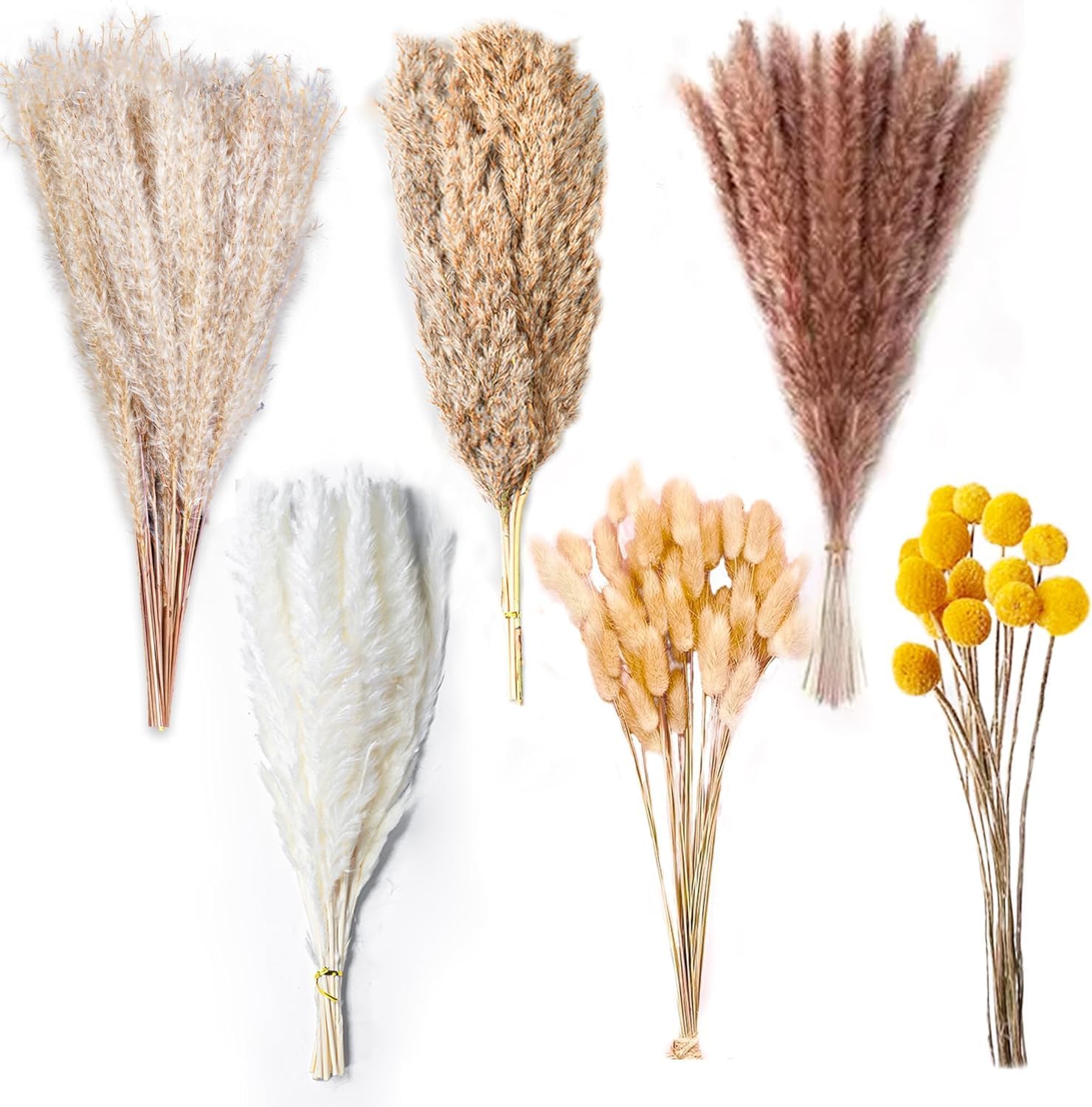 100 Pcs Natural Dried Pampas Grass,17.5″ Pampas Dried Flowers Bouquet – Boho Home Decor,Artificial Flowers for Wedding,Pampas Flowers for Floral Room,Home, Party,Table Decorations. 100 Pcs Natural Dried Pampas Grass,17.5″ Pampas Dried Flowers Bouquet – Boho Home Decor,Artificial Flowers for Wedding,Pampas Flowers for Floral Room,Home, Party,Table Decorations.