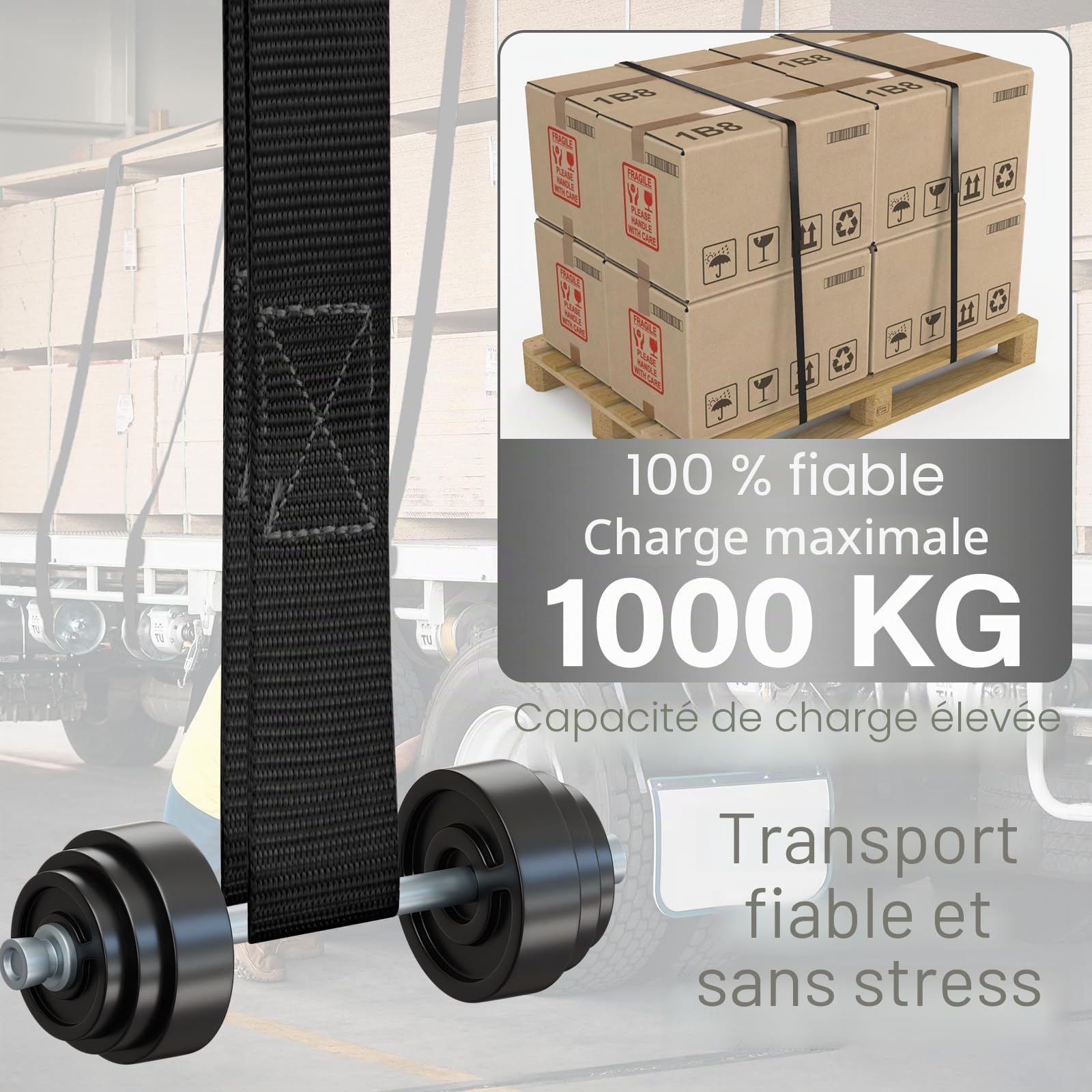 Tapvai Lot de 5 Sangles d'arrimage réglables avec cliquet (2.5 cm x 4 m) | Charge maximale : 1000 kg - Sangles d'arrimage extrêmement Robustes - Convient pour Le Chargement Fixe, la Voiture, la Moto