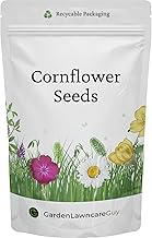 Cornflower Seeds - UK Native Wildflower Ideal for Meadows, Cottage Gardens, Borders & Pollinators - Centaurea Cyanus - Garden Lawncare Guy (20g)