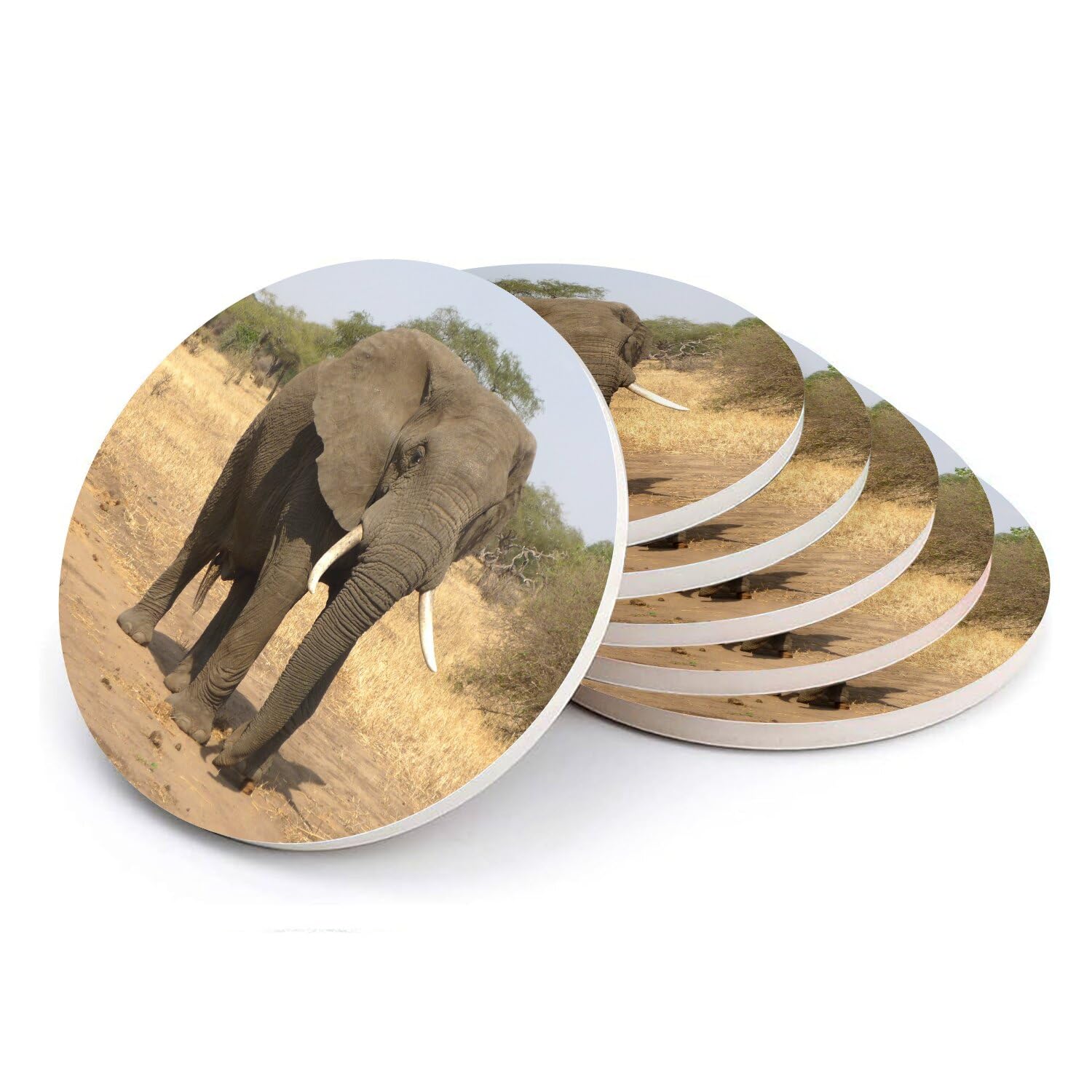 Sous verre céramique éléphant d'Afrique fini les taches sur la table