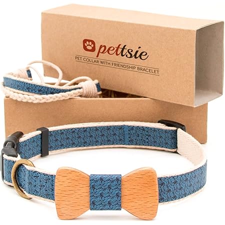 dog collar human bracelet