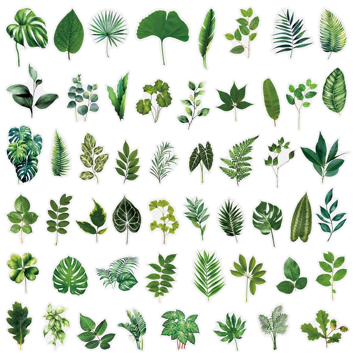 TUIOBUN 100PCS Transparent Cute Plant Stickers for Water Bottle,Bumper,Computer,Notebook,Suitcase,Luggage,Nature Green Leaf Cartoon Waterproof Vinyl Sticker,Teens Kids Decal,Aesthetic Graffiti Decals - Image 4