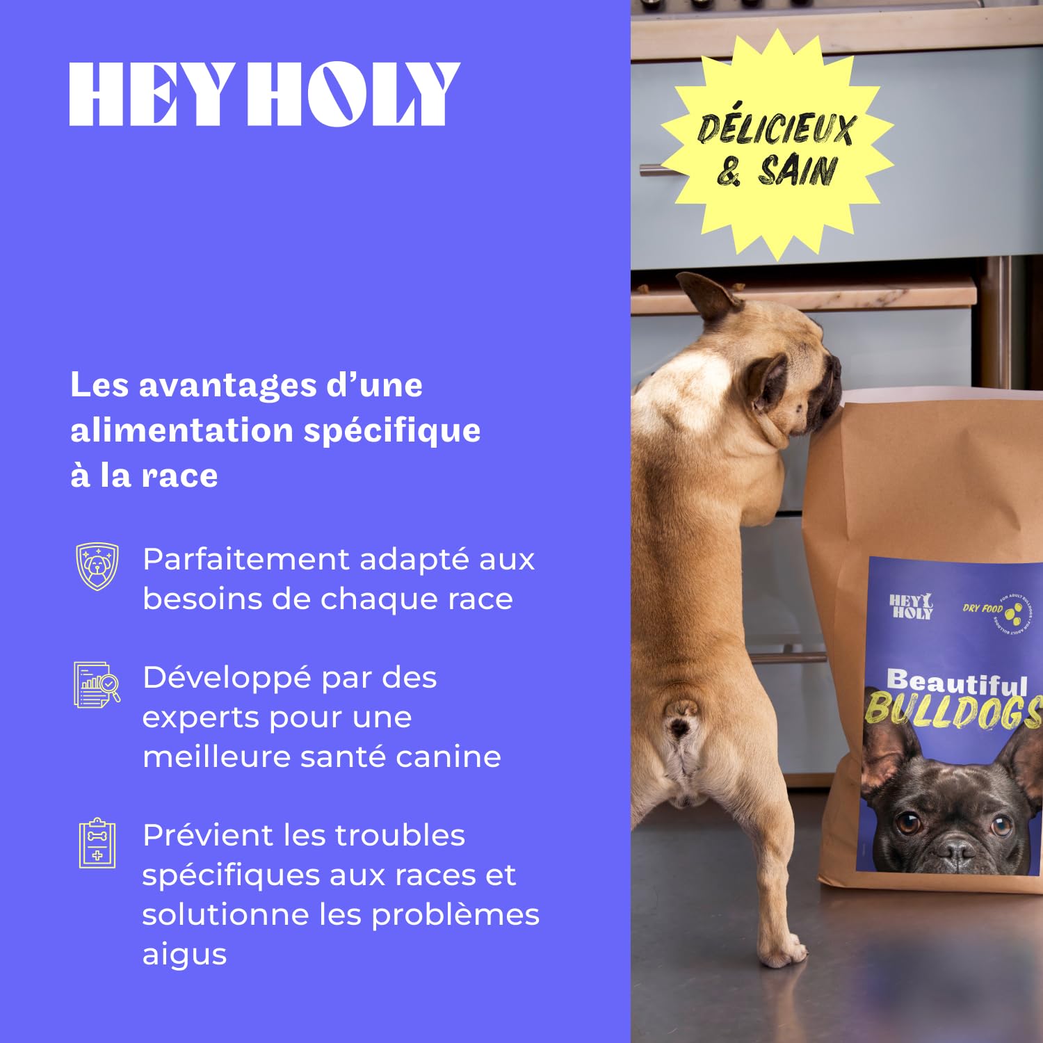 HEY HOLY Beautiful Bulldogs Croquettes Premium pour Bulldogues 100% sans céréales | Aliment hypoallergénique pour Bulldogues Adultes avec Saumon, 7kg | Très digestible, à Base d'ingrédients naturels