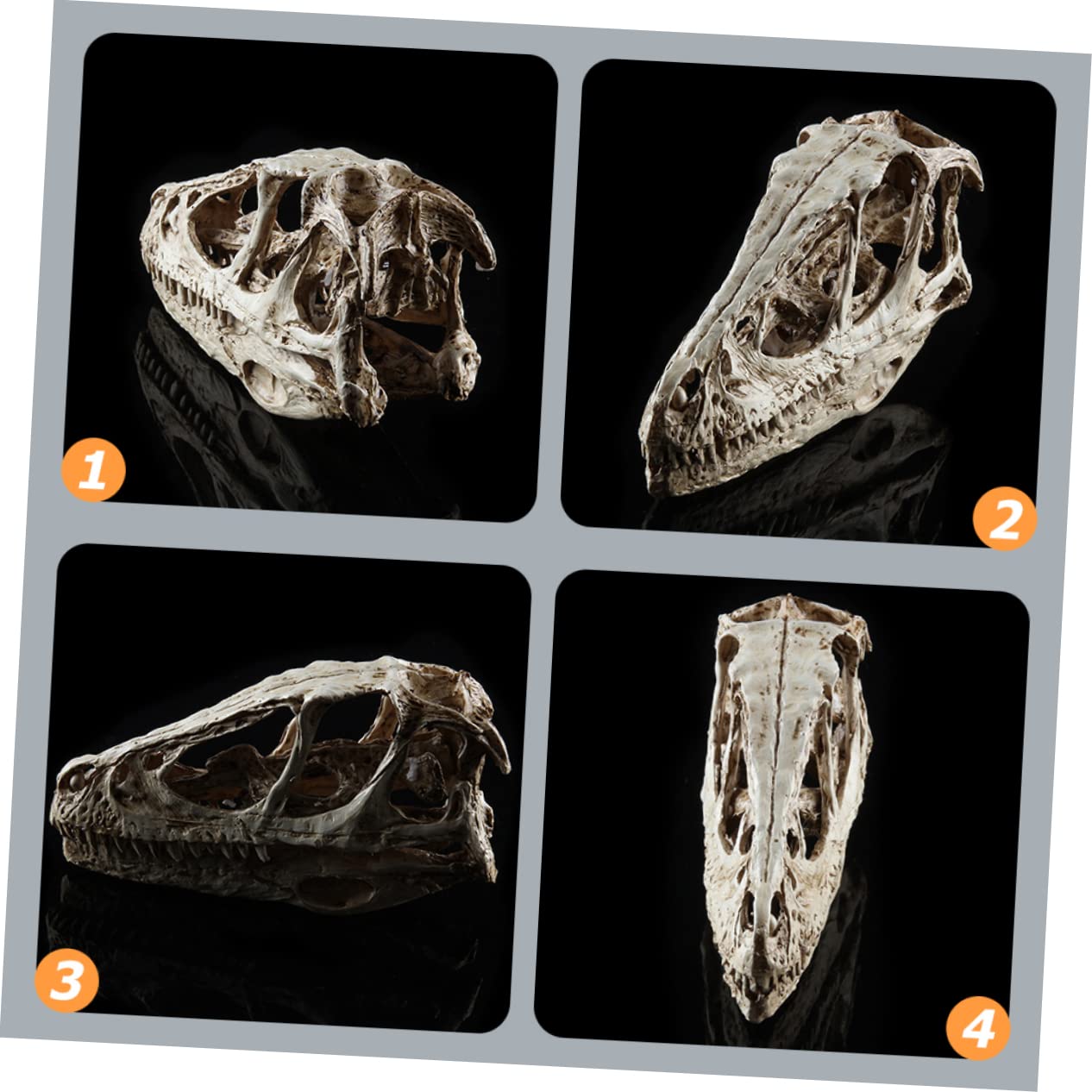 PLAFOPE Simulated Dinosaur Skull Model Realistic Skeleton Figurine for Home Decor Teaching and Collecting Present for Science Enthusiasts